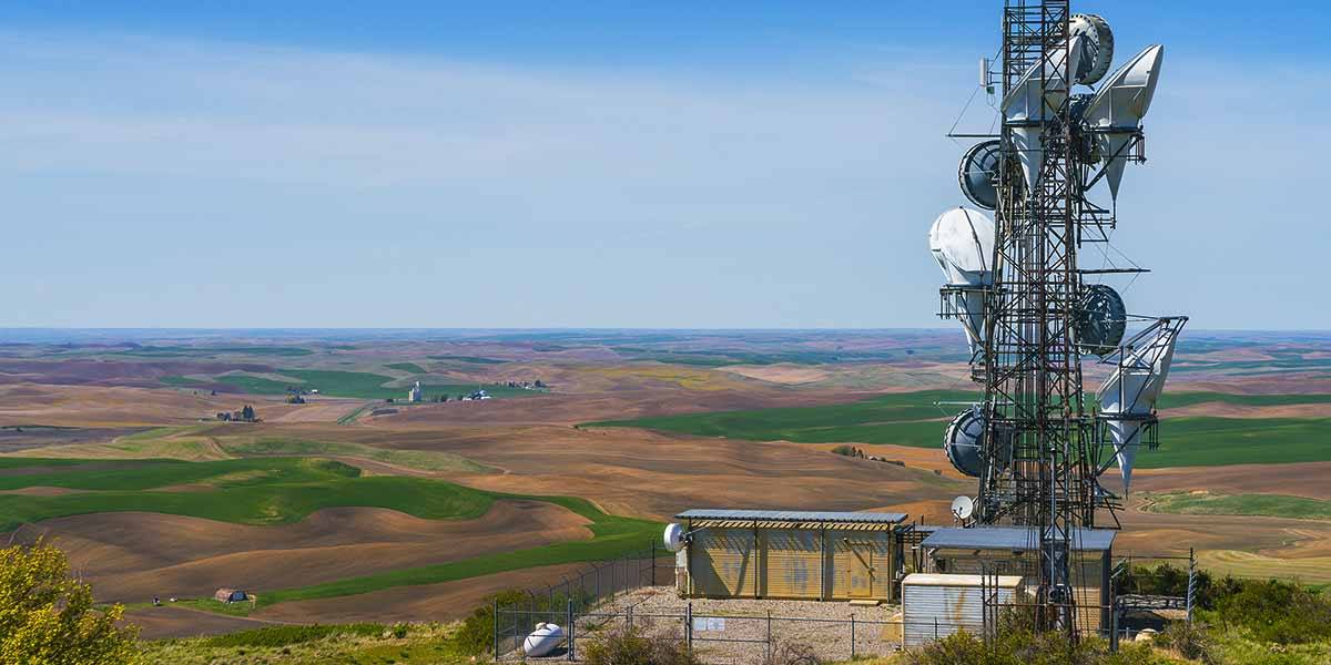 Cell Towers in the Tropics